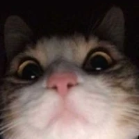 กูหื่นนนนนนนน