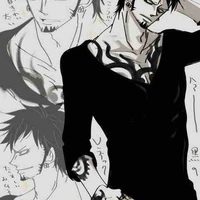 Law