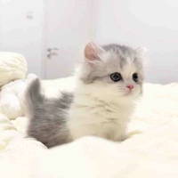 แมรี่