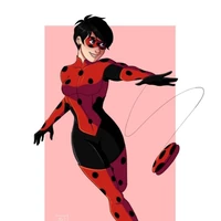 Ladybug