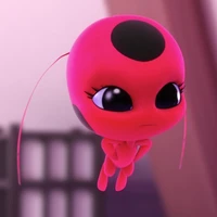 Tikki