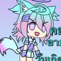 คอตต้อน