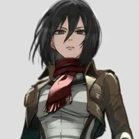Mikasa