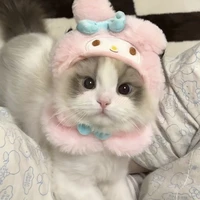 มินิ(แมวนายเอก)