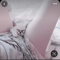 โซฟี😡(ตัวร้าย)