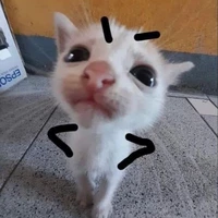 แอดสุดส๊วยเอง