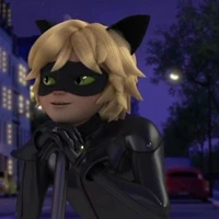 catnoir