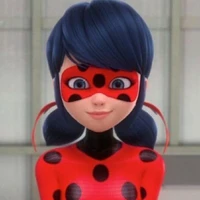 ledybug