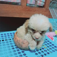 มันนี่