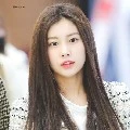 reva adijaya