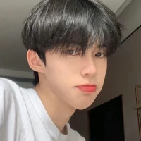 ชิน