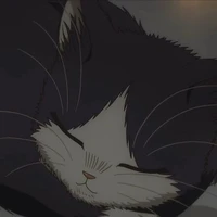 Miyu