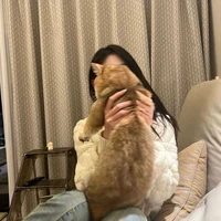 ทับทิม