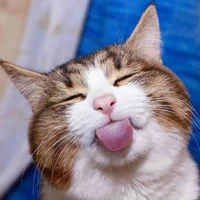 แอด