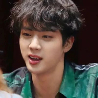 Kim seokjin/jin