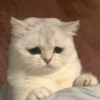 แอดเองฮ้าฟ~