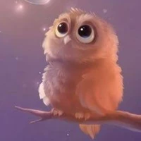 โมจิ(สัตว์เลี้ยงของเมโมรุ)🦉