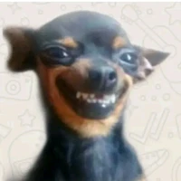 AUTORA