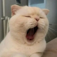 เหล่ท่อ