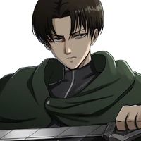 Levi