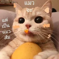 แอดเอง