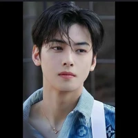 Cha - eun - woo