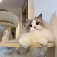 ไอรีน