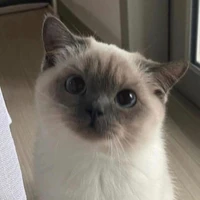 เวลเวอรี่