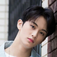 Lee mark