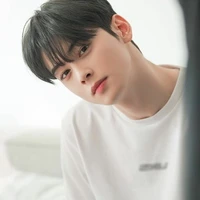 Cha Eun woo