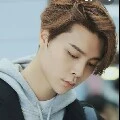 johnny oppa