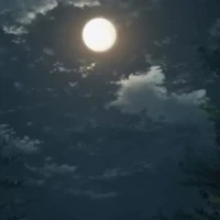 sento dan banjo