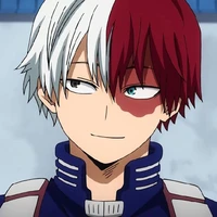 Shoto Todoroki ( só q arrombado)