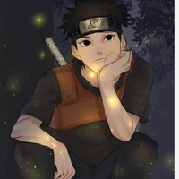 shisui-alfa p.