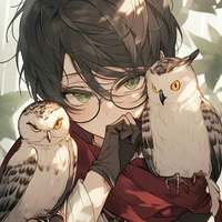 herry potter