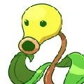 bellsprout