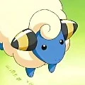 mareep