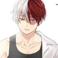 Shoto Todoroki