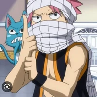 Happy et Natsu 