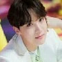 jung hoseok (j-hope)