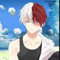 todoroki shoto 