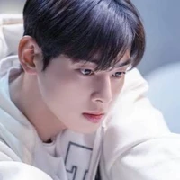 Cha eun woo (omega)