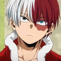 Shoto Todoroki 
