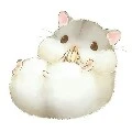 leo(hamster)