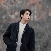 seokjin õ