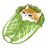 เกรซ