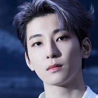 wonwoo