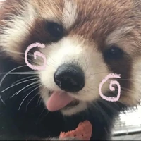 한나(ฮันน่า)
