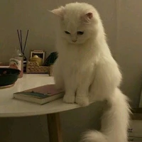 เจ้าสัว(สมิง)