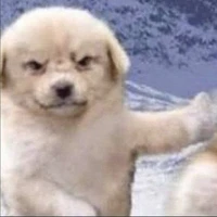 B.